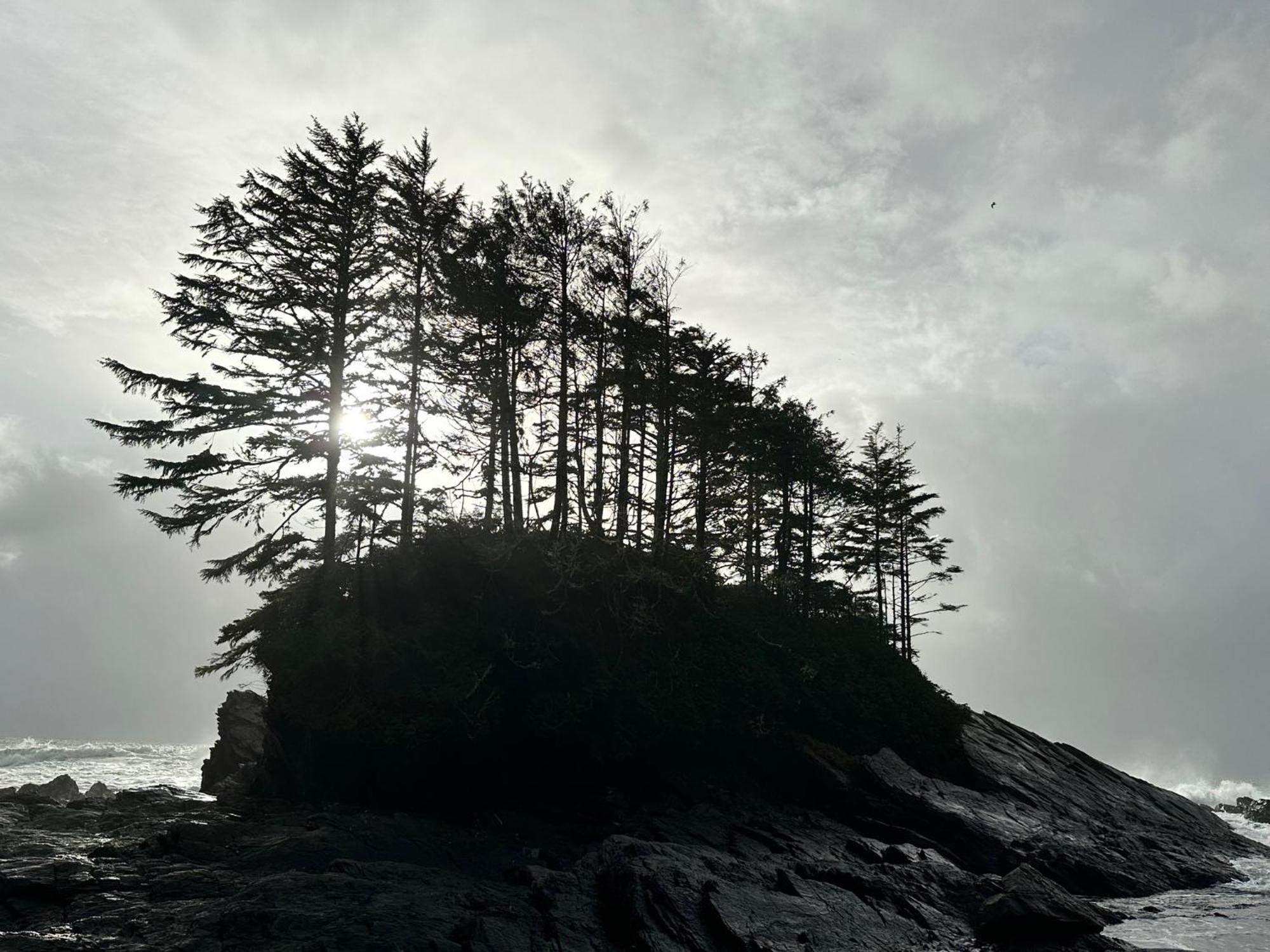 Bjorn Holm Villa Port Renfrew Kültér fotó