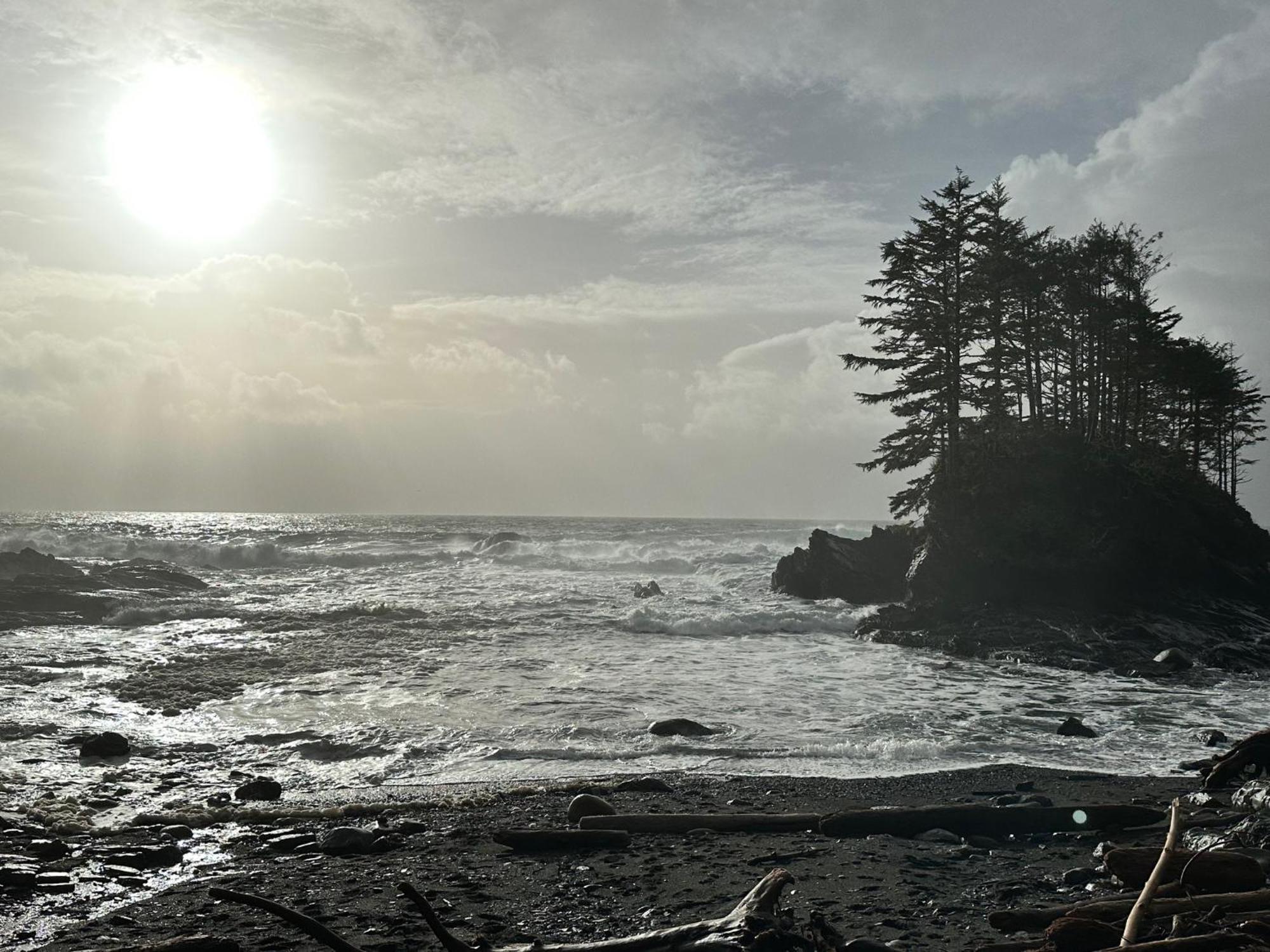 Bjorn Holm Villa Port Renfrew Kültér fotó