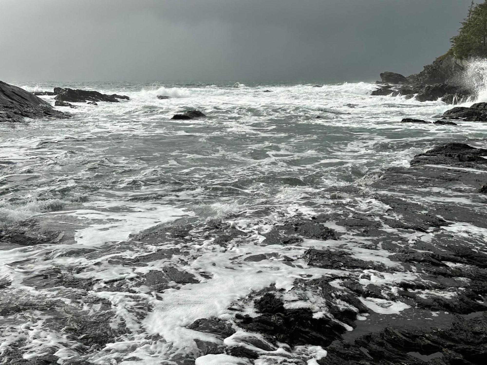 Bjorn Holm Villa Port Renfrew Kültér fotó