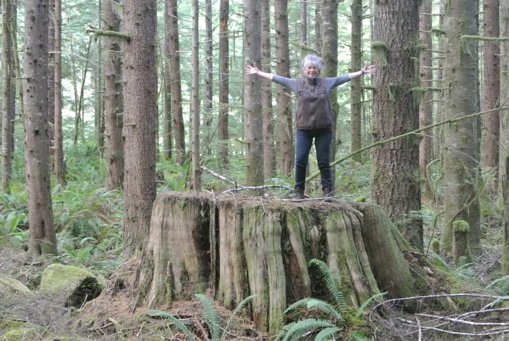 Bjorn Holm Villa Port Renfrew Kültér fotó